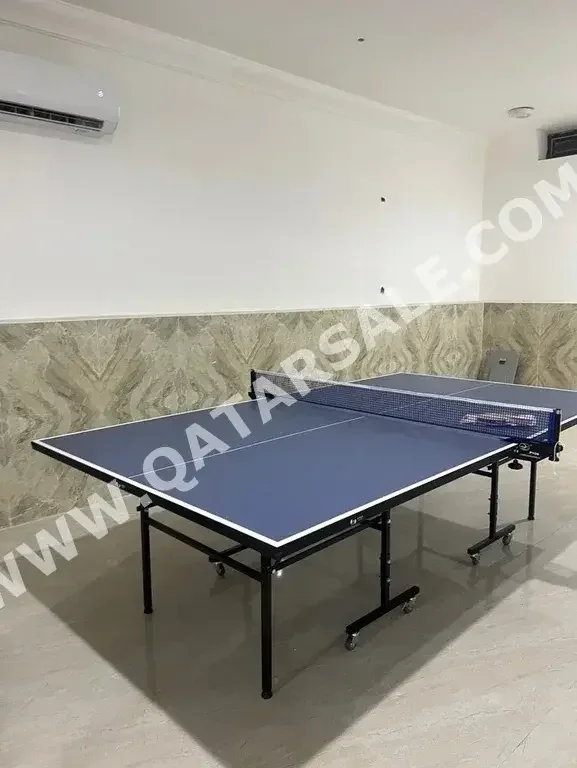 Black and Blue  Tennis (ping pong) Table