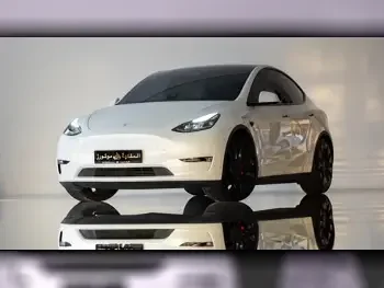 Tesla  Model Y  Performance  2023  Automatic  18,500 Km  0 Cylinder  Four Wheel Drive (4WD)  SUV  White  With Warranty
