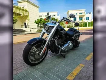 Harley Davidson  Fat Boy -  2019 - Color Black