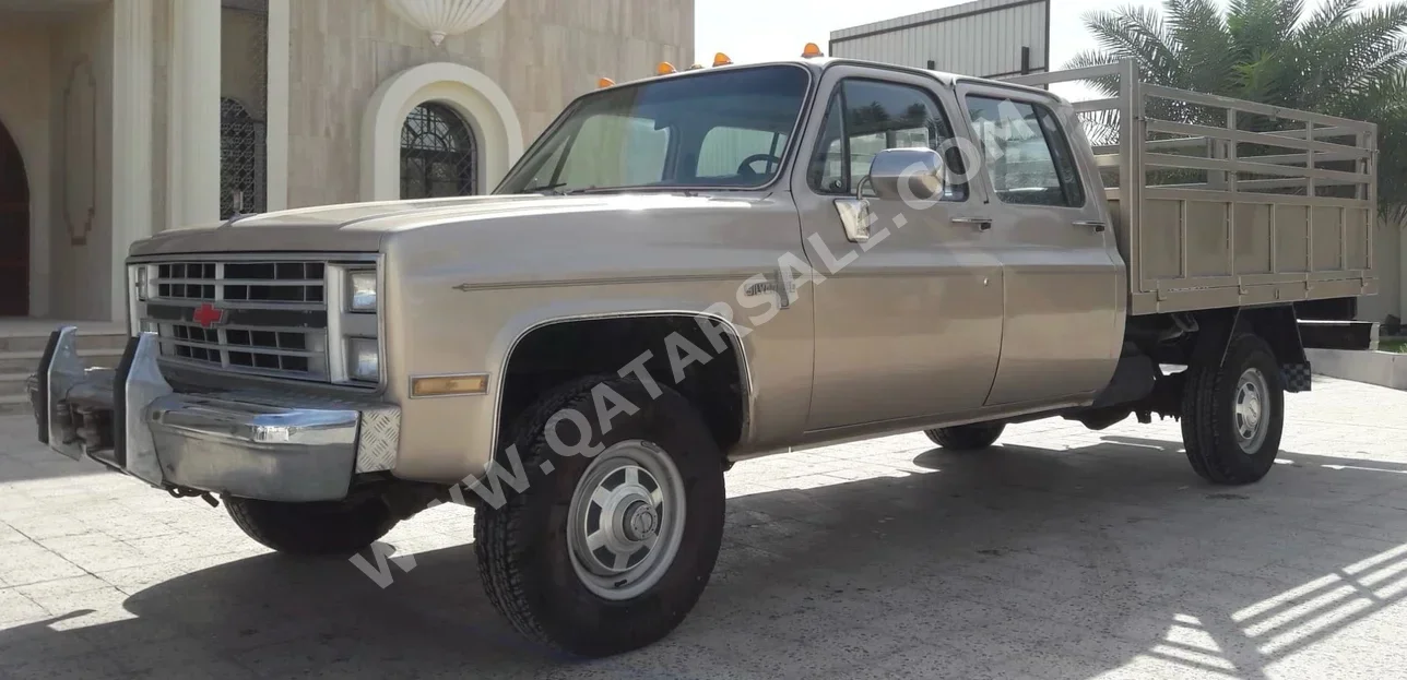 Chevrolet  Silverado  1984  Automatic  0 Km  8 Cylinder  Four Wheel Drive (4WD)  Pick Up  Silver