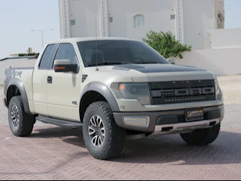 Ford  Raptor  SVT  2013  Automatic  99,000 Km  8 Cylinder  Four Wheel Drive (4WD)  Pick Up  Beige