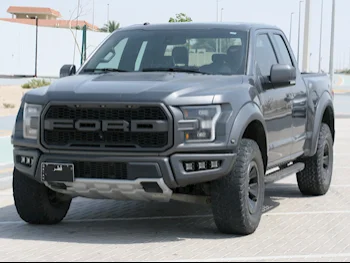 Ford  Raptor  2018  Automatic  130,000 Km  6 Cylinder  Four Wheel Drive (4WD)  Pick Up  Gray