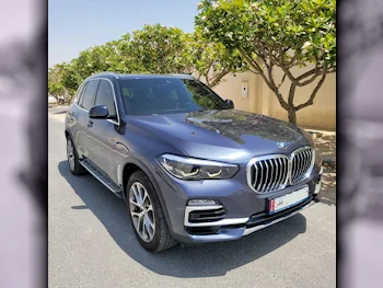 BMW  X-Series  X5 40i  2019  Automatic  80,000 Km  6 Cylinder  Four Wheel Drive (4WD)  SUV  Gray