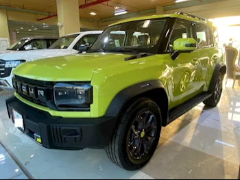 Jetour  T2  2024  Automatic  0 Km  4 Cylinder  Four Wheel Drive (4WD)  SUV  Green  With Warranty