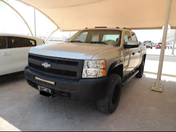 Chevrolet  Silverado  2011  Automatic  249,000 Km  8 Cylinder  Four Wheel Drive (4WD)  Pick Up  Silver