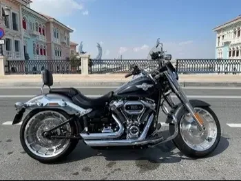 Harley Davidson  Fat Boy -  2021 - Color Black -  Warranty